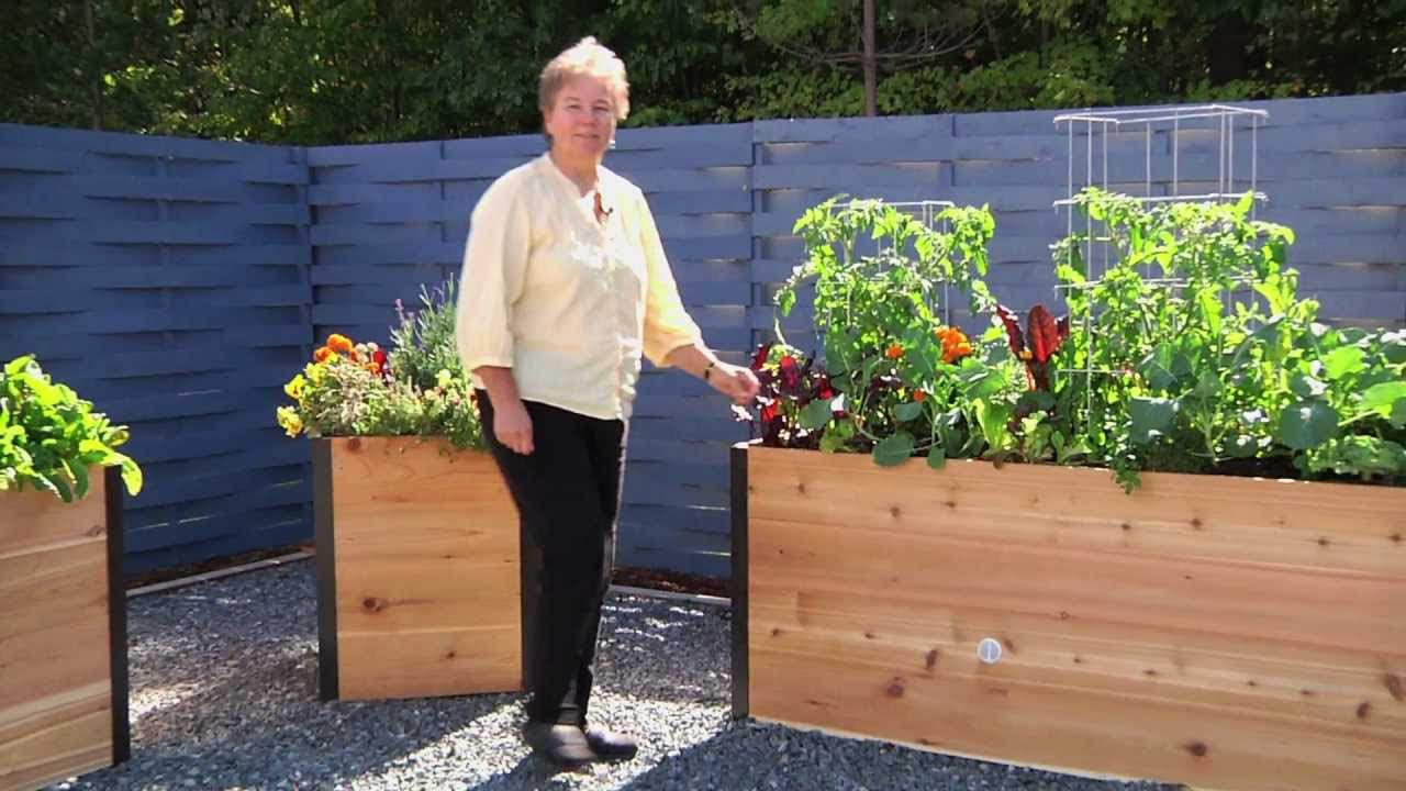 All You Need To Know About Our 👩🏻&zwj;🌾 Elevated Raised Beds