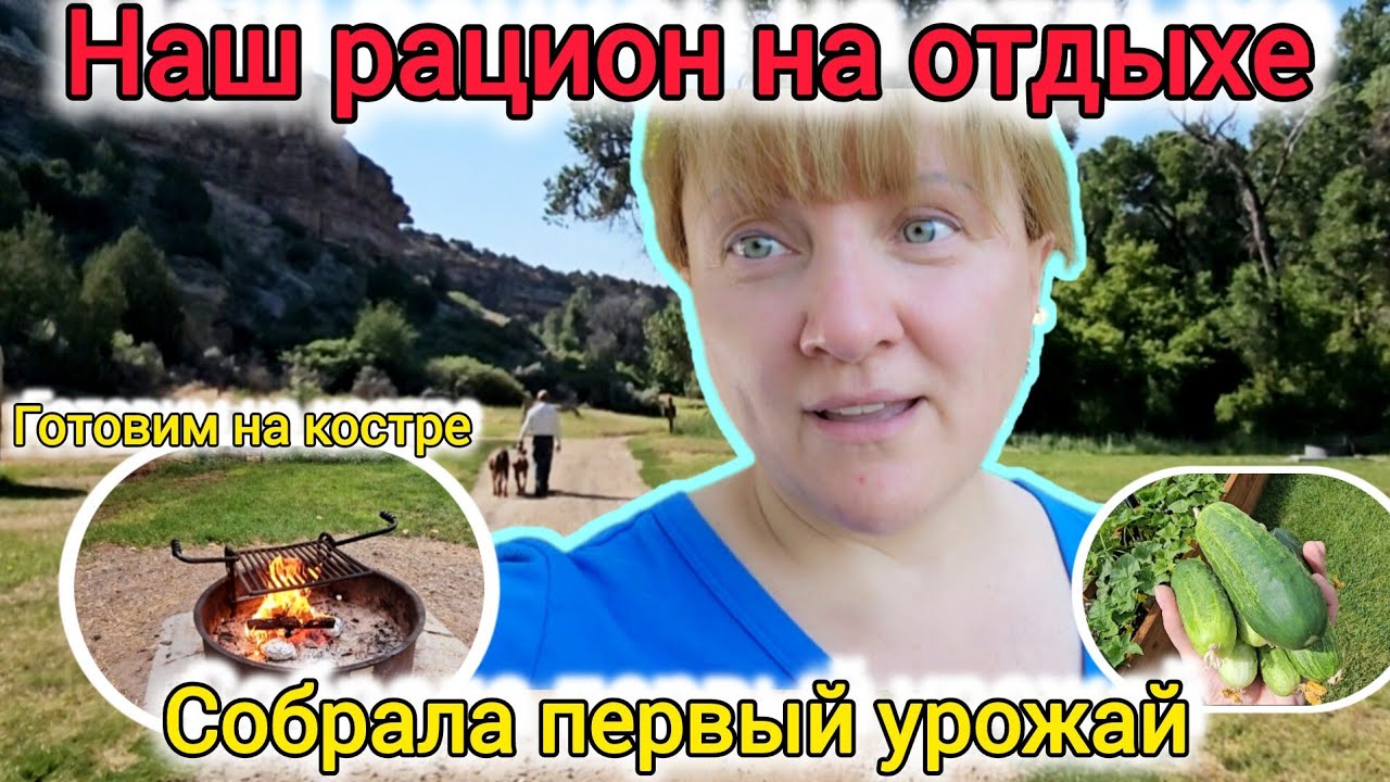 Готовим на костре. Первый урожай огурцов.