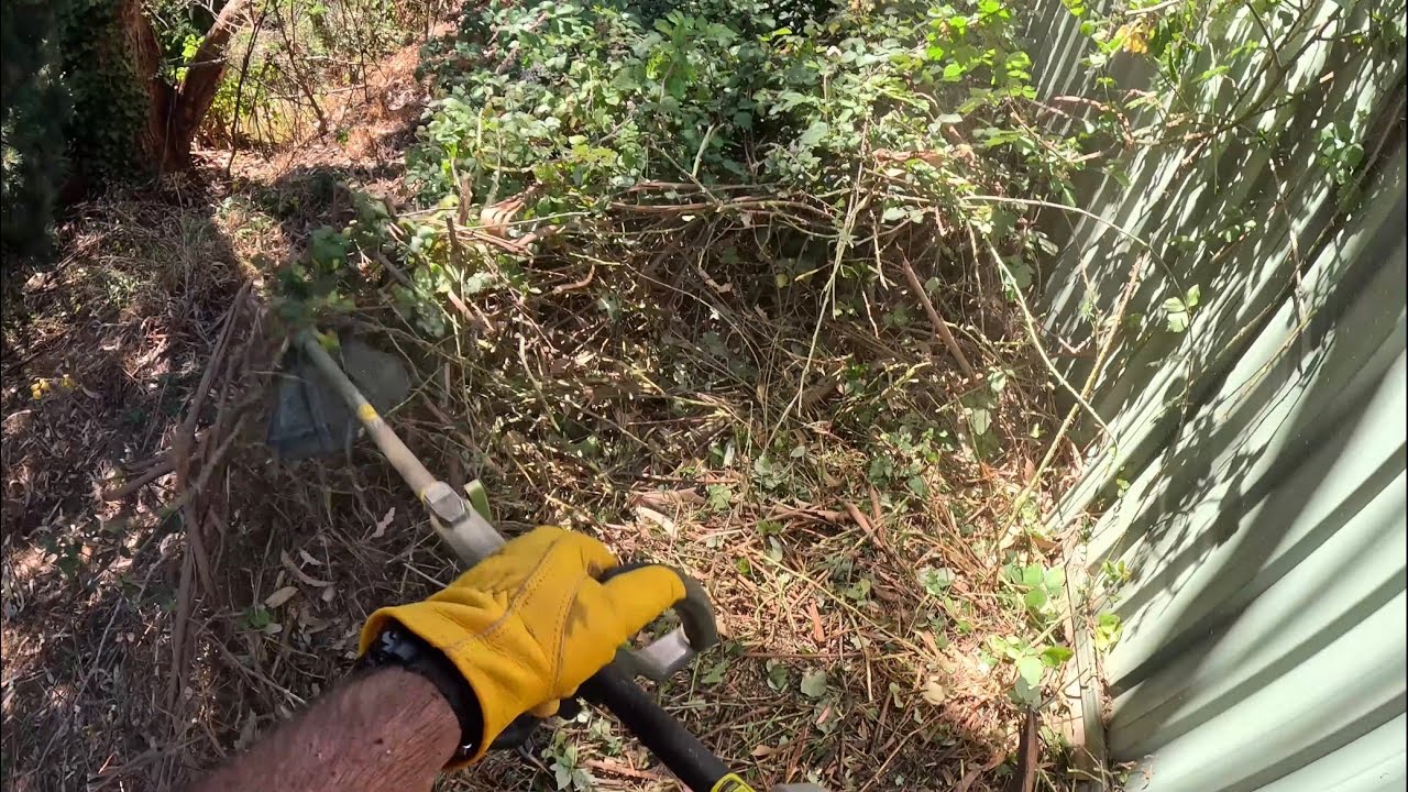POV: Brushcutting Blackberry 