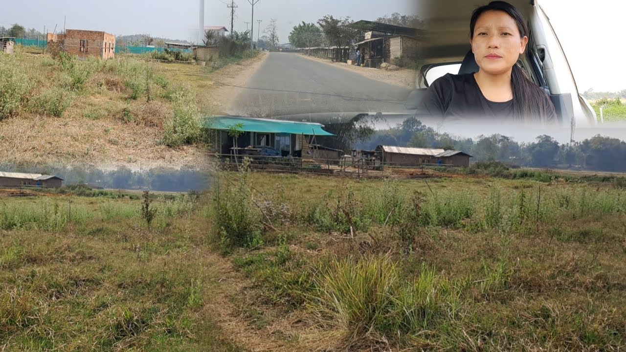 7005816354.Urgent Land for sale at Singrijan Near Thursday Bazaar.