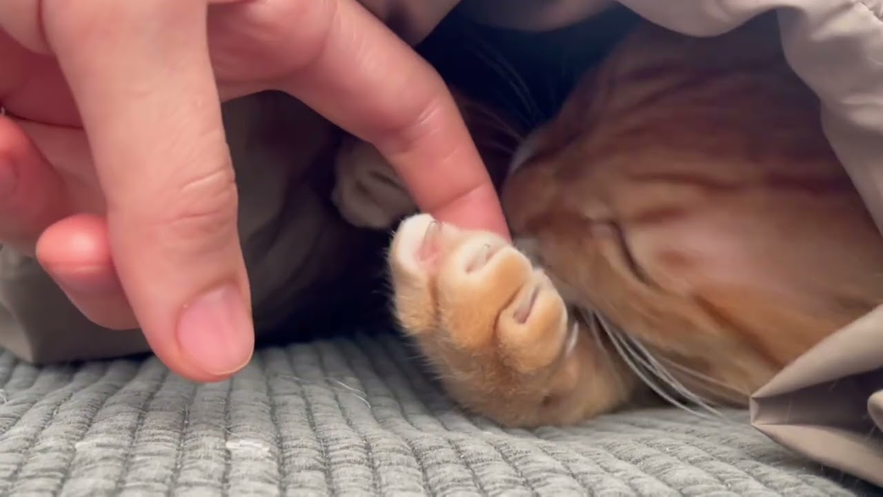 여왕님과 아침 데이트