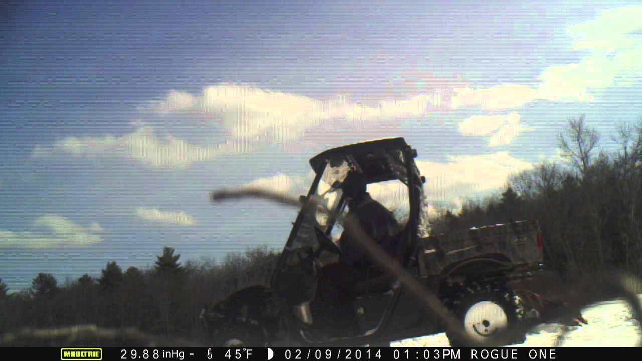Raw Trail Cam Footage from Runaround Pond