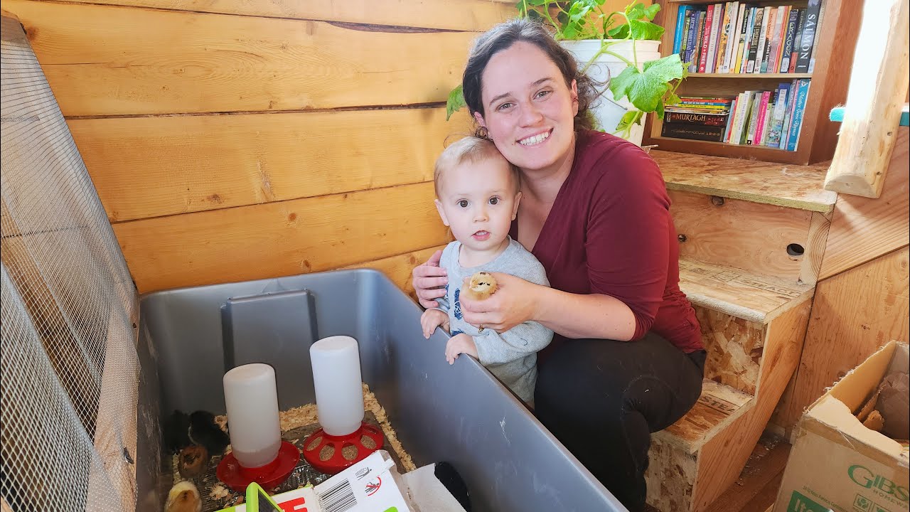Chick Brooder With NO Heat Lamp? | Adding Chickens To Our Homestead