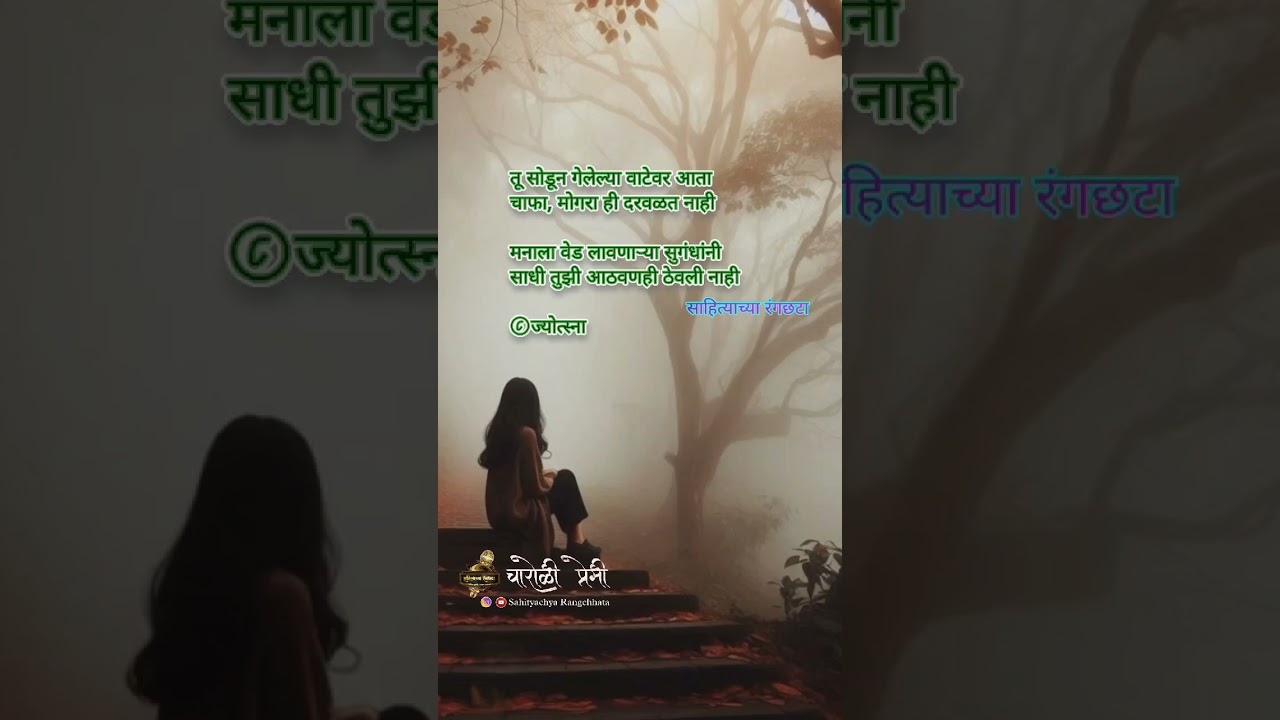 #bollywood