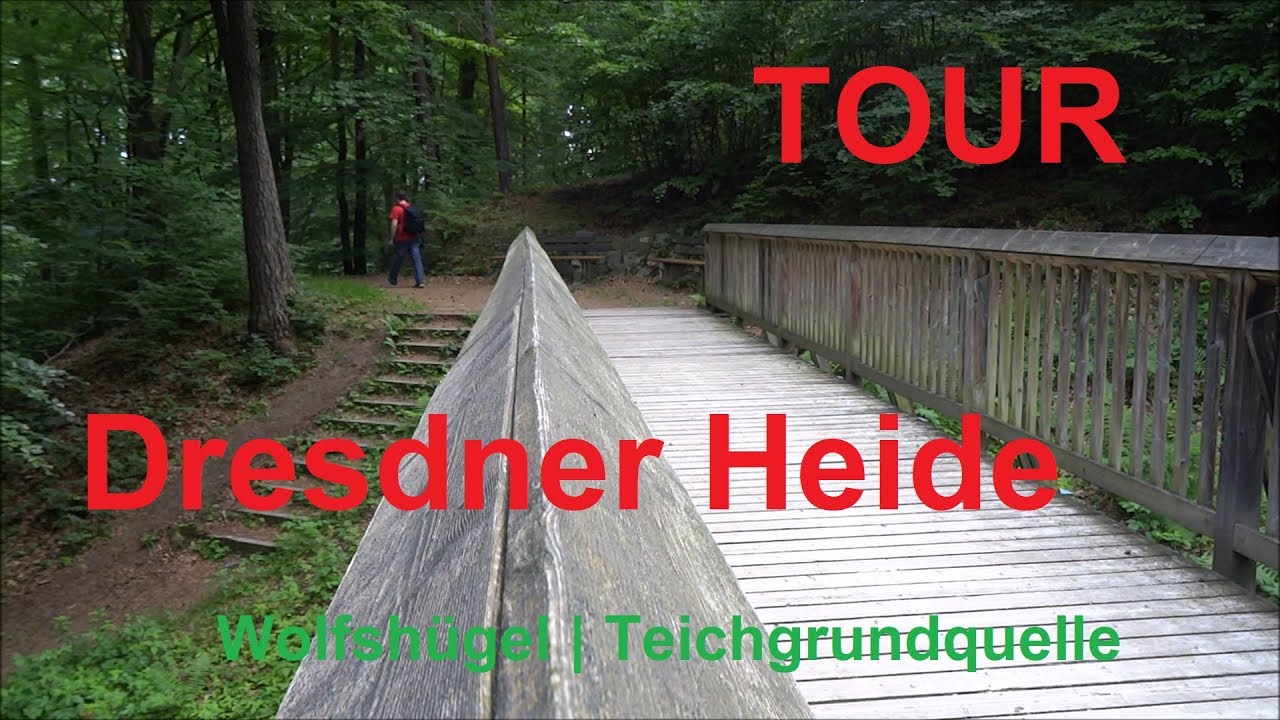 TOUR: Unterwegs in der Dresdner Heide | Wolfshügel | Teichgrundquelle | Outdoor Wandern Deutschland