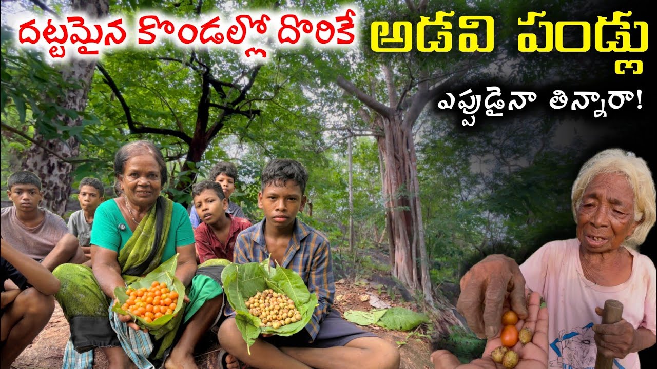 Secret Wild Fruits of the Forest-Would you DARE to Eat These?😋🌿ఈతరం తప్పక తినండి 