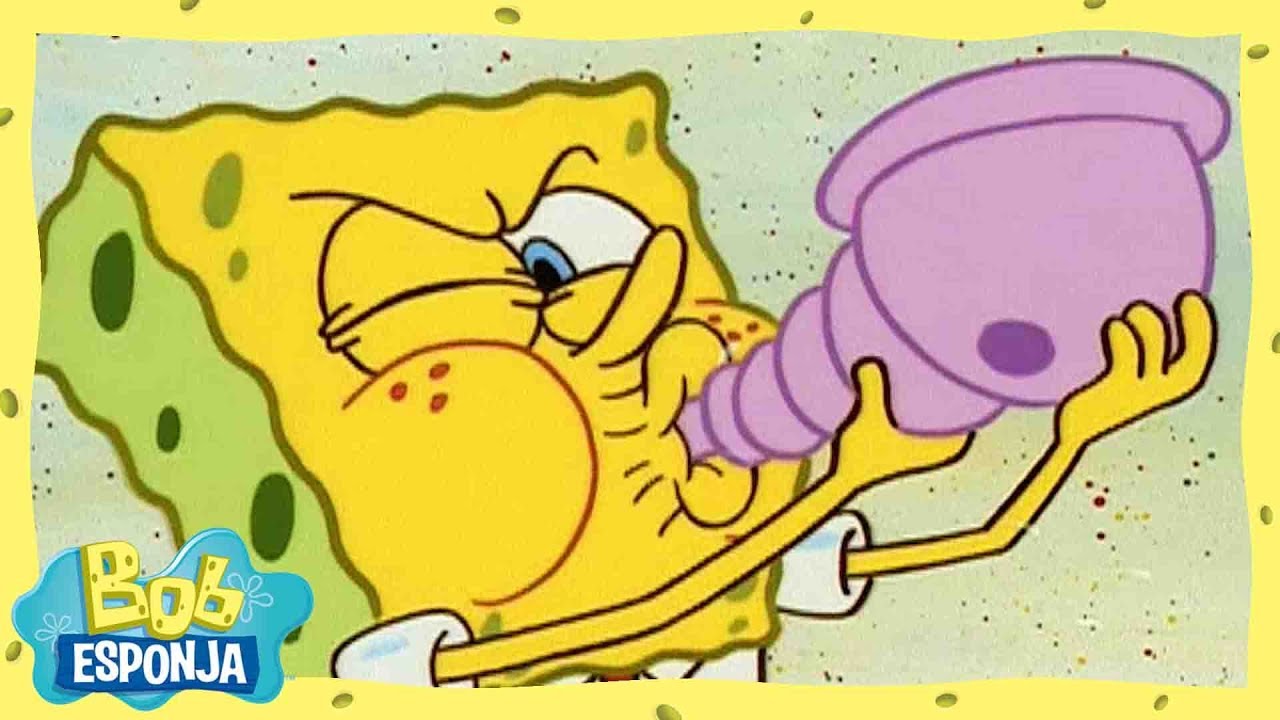 O sinal da concha! | Bob Esponja em Português