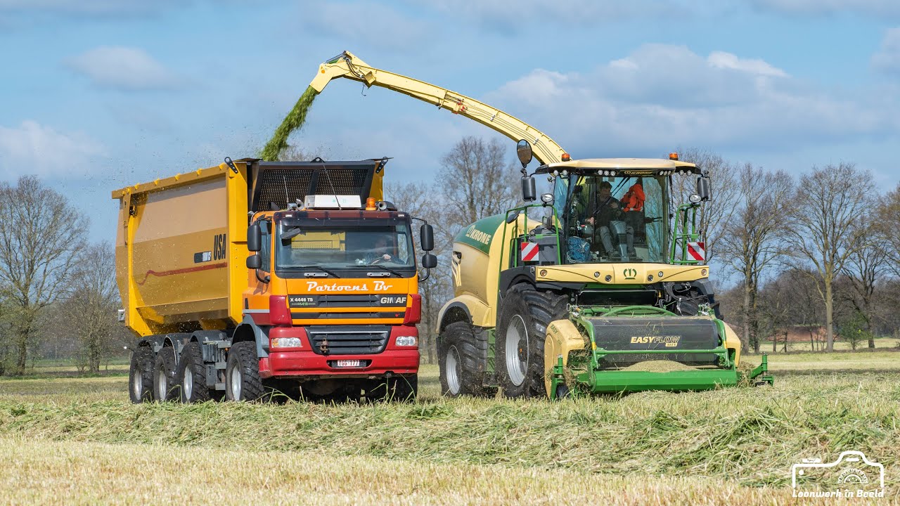 Krone Big X 780 | Ginaf + USA 60m³ | Kaweco Radium 55 | Partoens Agro Service | Snijrogge hakselen