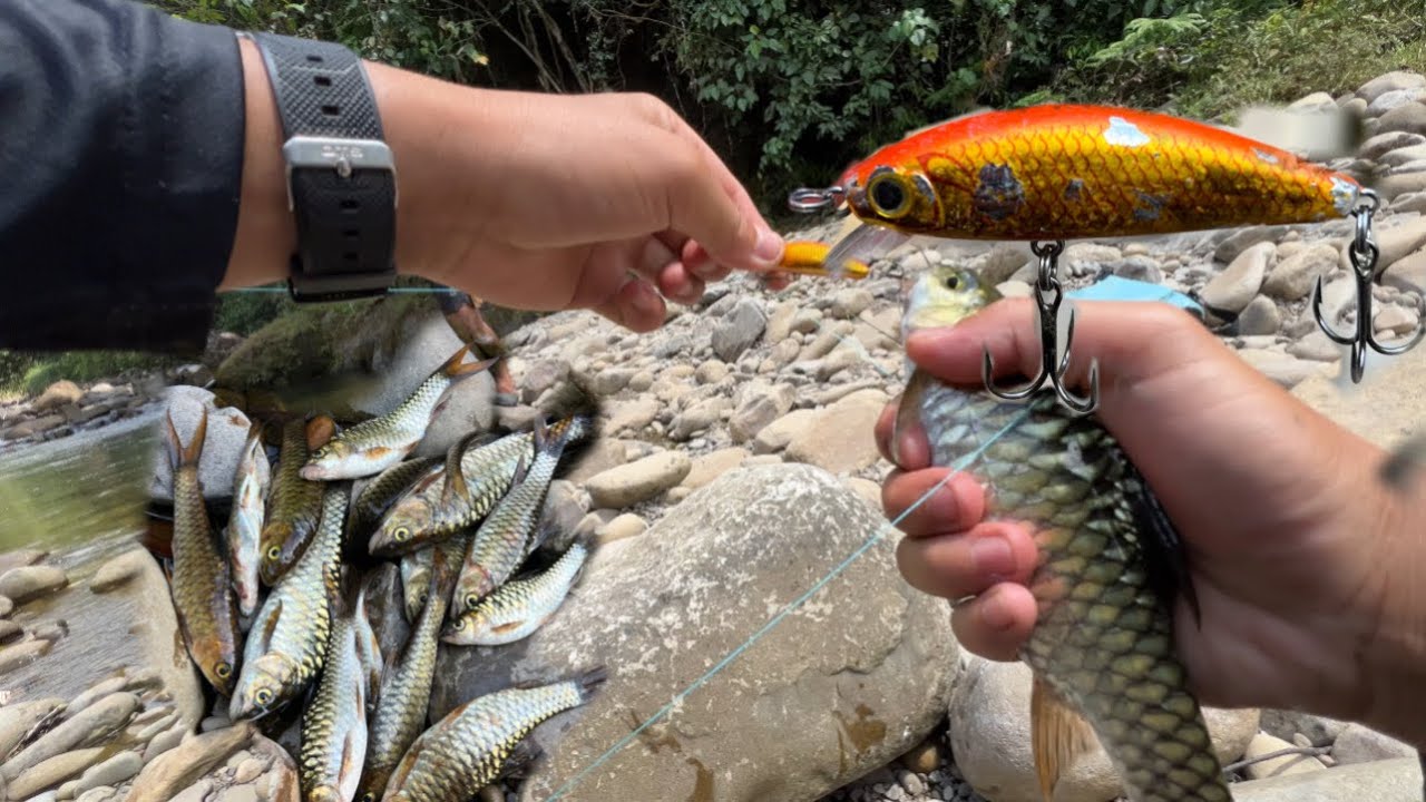 STRIKE ikan kelah, casting di sungai kecil dan jerni🎣🔥🔥🔥