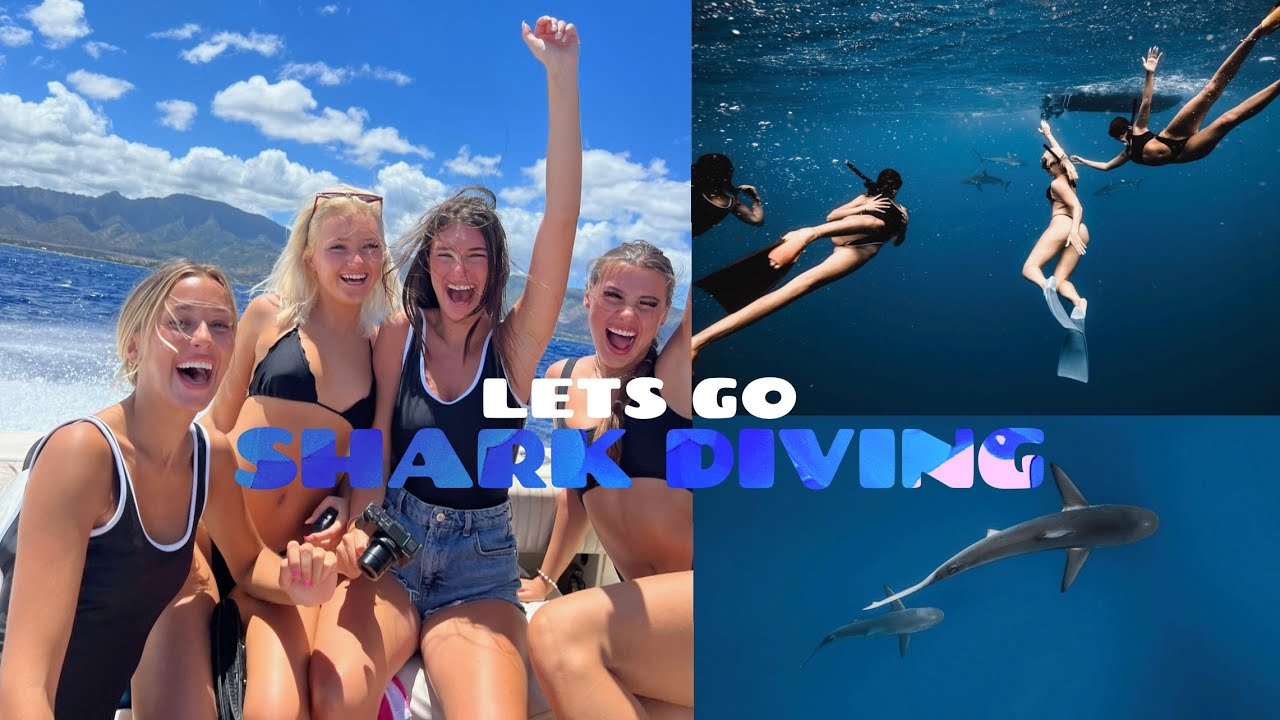 SHARK DIVING IN HAWAII