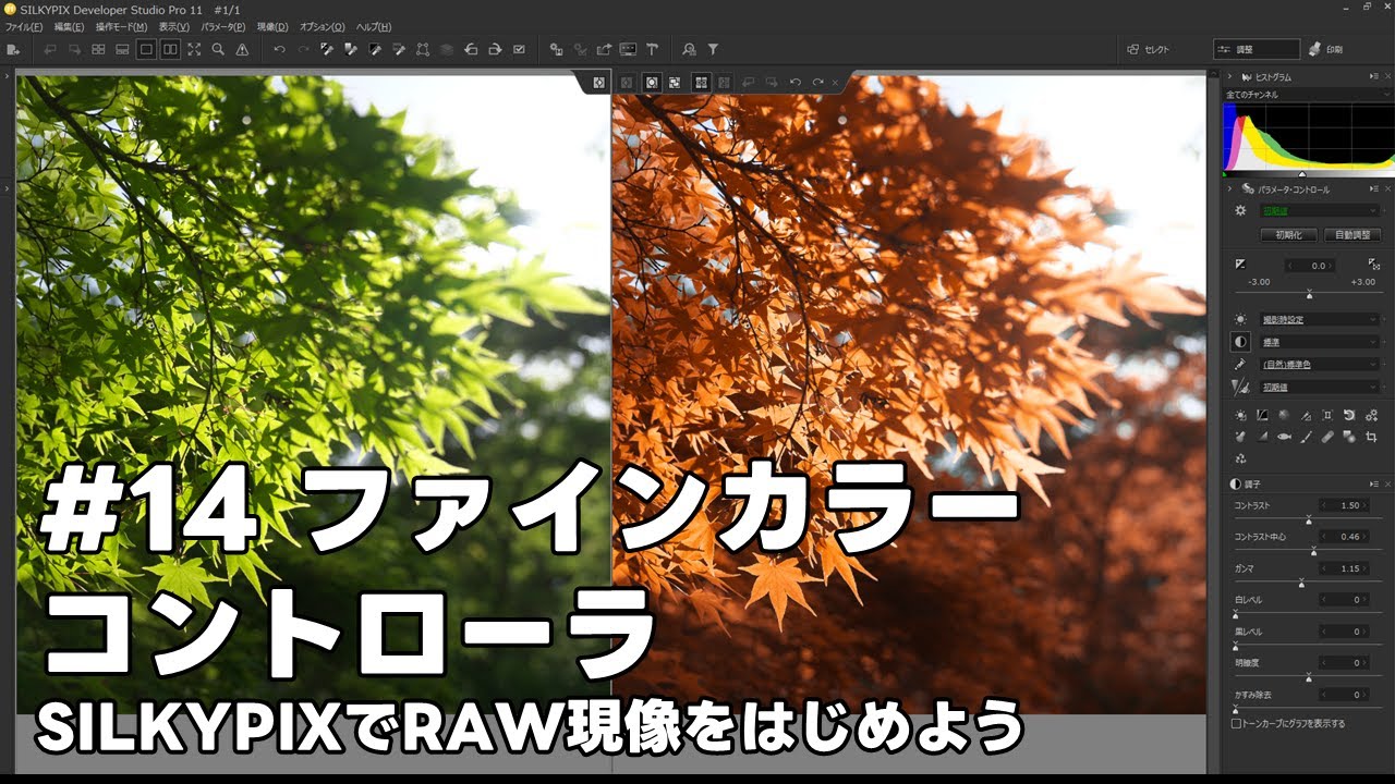 SILKYPIXでRAW現像をはじめよう #14 ファインカラーコントローラ