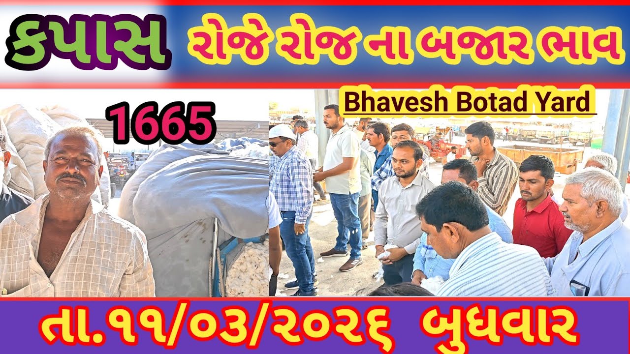 બોટાદ માર્કેટિંગ યાર્ડ કપાસ ના ભાવ માં જીતી 11/03/2026 || Botad Marketing Yard ||#bhaveshbotadyard