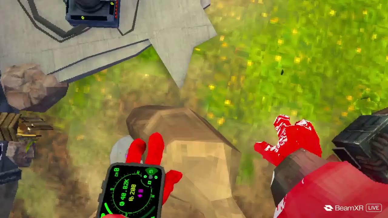 playing animal company