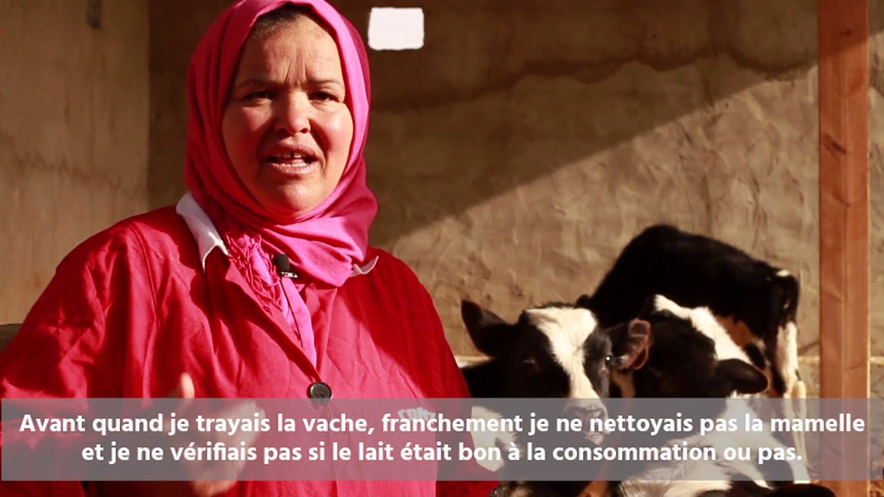 Tunisie : la formation professionnelle face au manque de débouchés économiques | Swisscontact