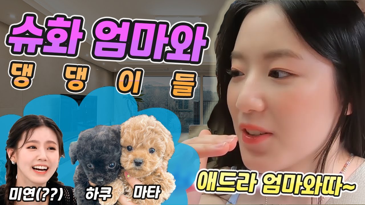슈화엄마와 댕댕이들(하쿠,마타,미연??)ㅣ(여자)아이들