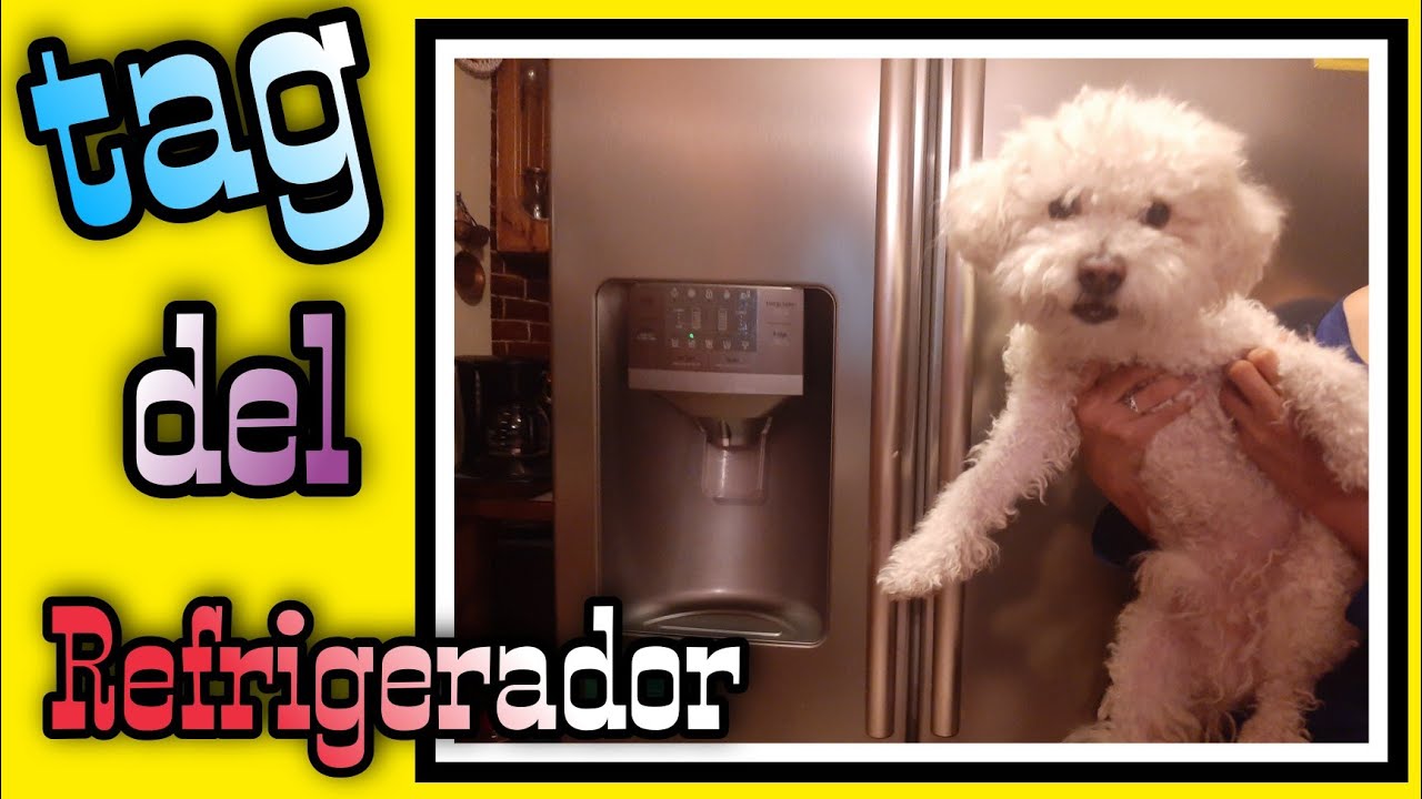 ✅🍒🥑🥓TAG DEL REFRIGERADOR🥚🍗🧀/¿Que hay en mi refrigerador? / Nominada por Cocina con Kary y más