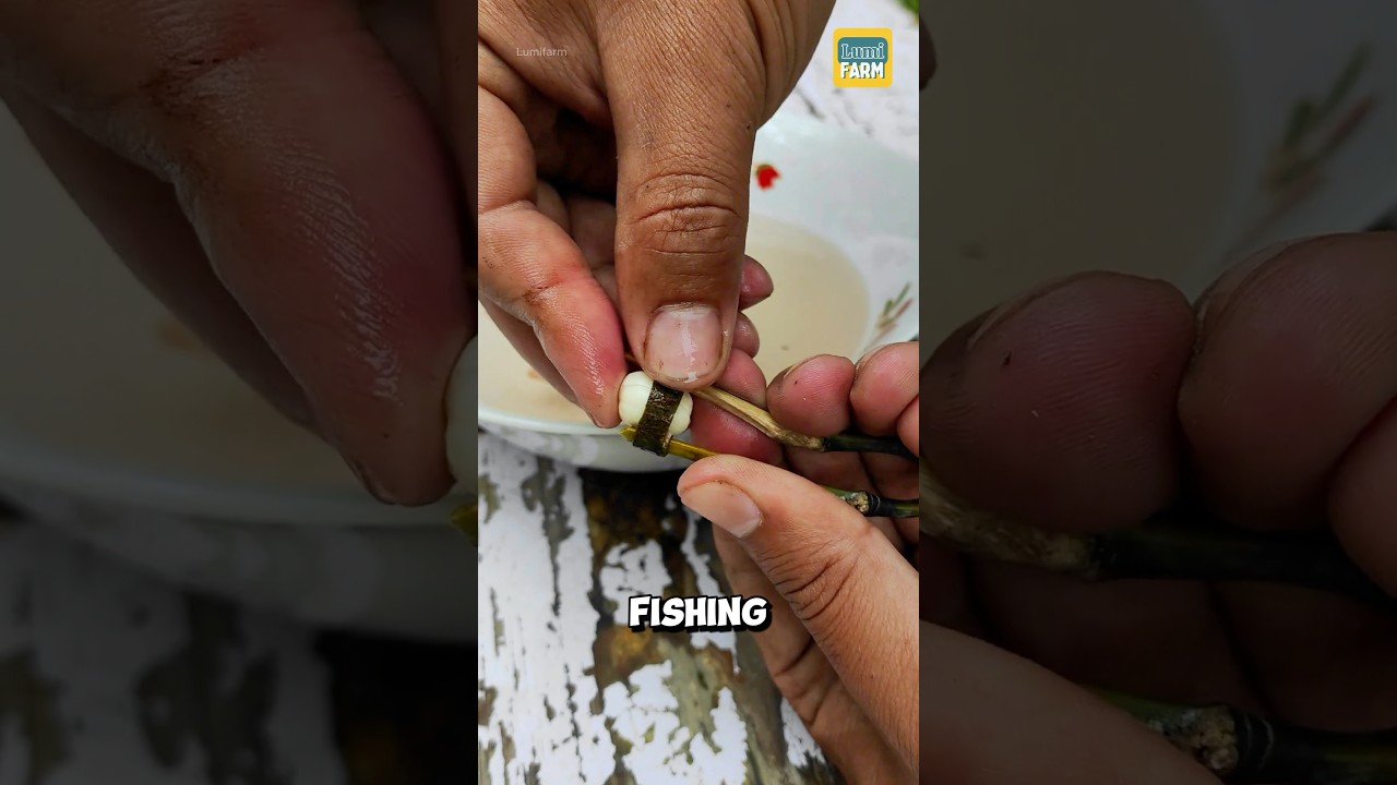 How did the Chinese catch fish thousands of years ago? 