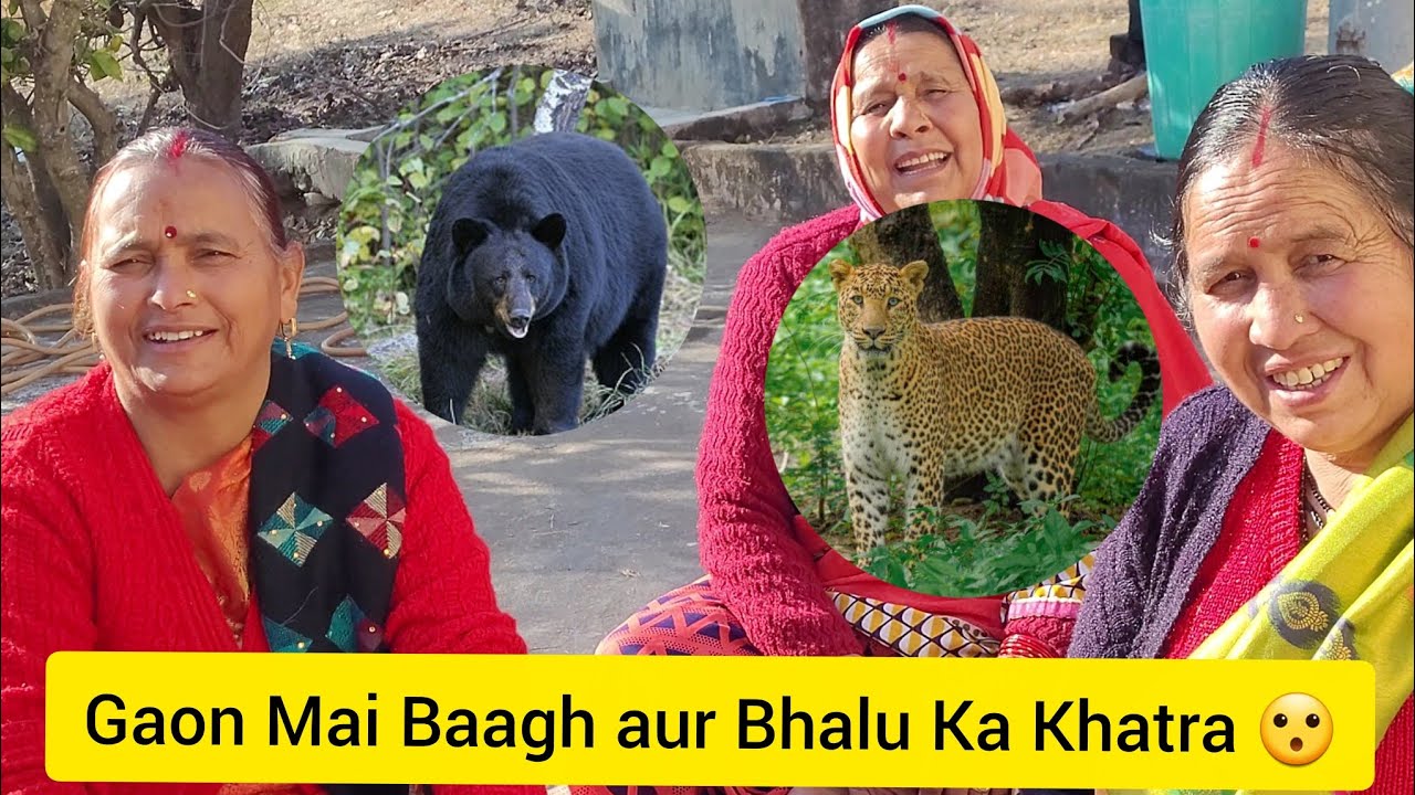 Gaon Mai Baagh Aur Bhalu Ka Khatra 😮 | Vlog 242 |We Rawat Family