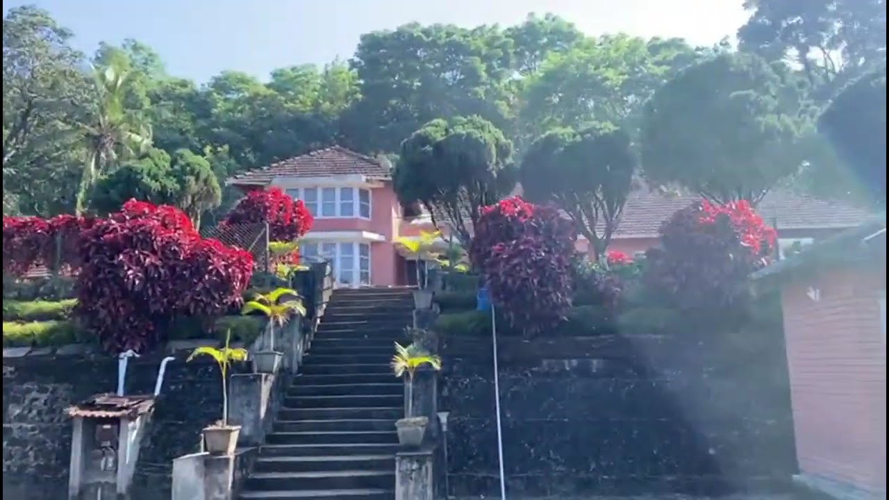 *BANK SEIZED 308 acres Coffee estate for sale in chikmangalore Well Maintained running coffee estate