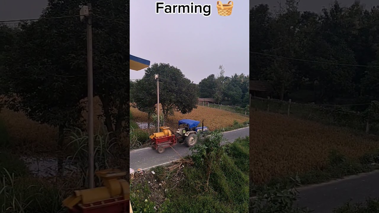 Bihar ki Farming 🧺 #subscribenow #minivlog #vlog