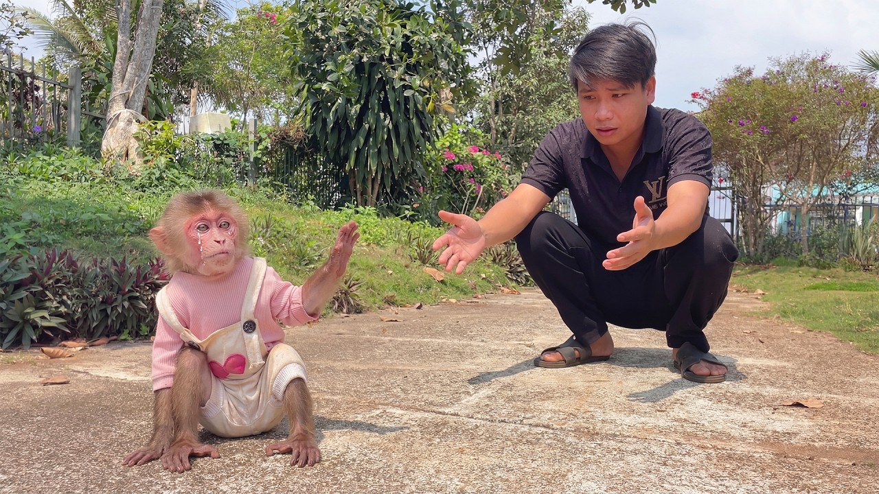 Why Is Monkey Moon Crying She Thinks She’s Abandoned