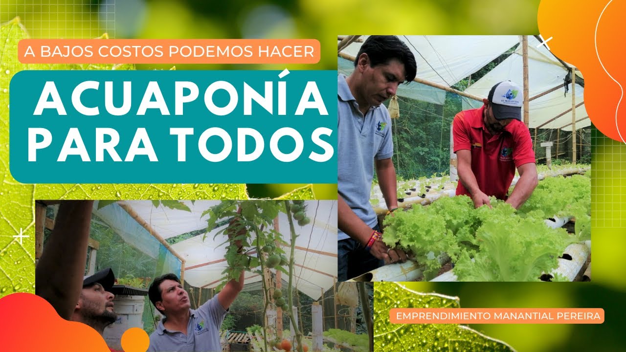 ACUAPONÍA PARA TODOS Y A BAJOS COSTOS