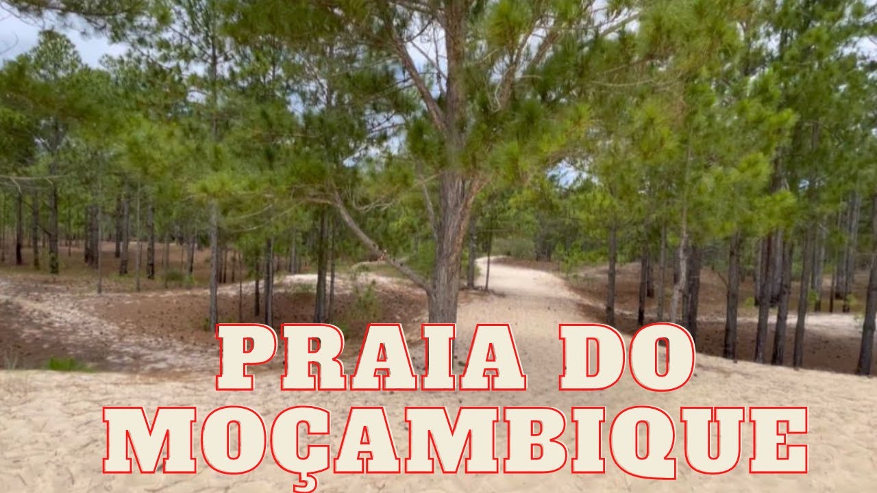 PRAIA DO MOÇAMBIQUE SÃO JOÃO DO RIO VERMELHO FLORIANÓPOLIS SANTA CATARINA