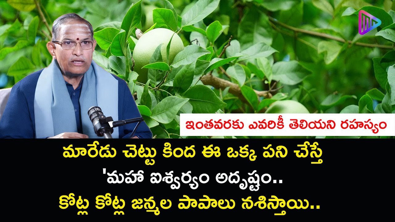 మారేడు చెట్టు కింద ఈ ఒక్క పని చేస్తే 'మహా ఐశ్వర్యం అదృష్టం.. | Chaganti Koteswara Rao Speech