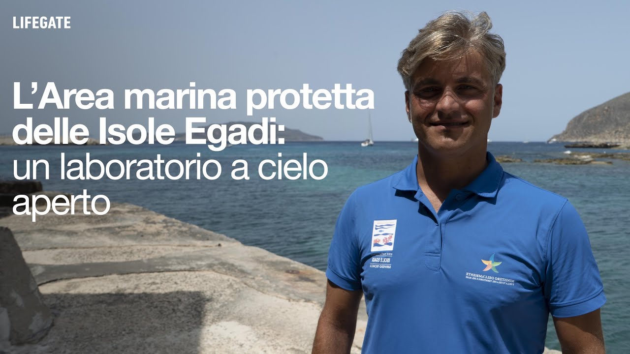 L'Area marina protetta delle Isole Egadi: un laboratorio a cielo aperto