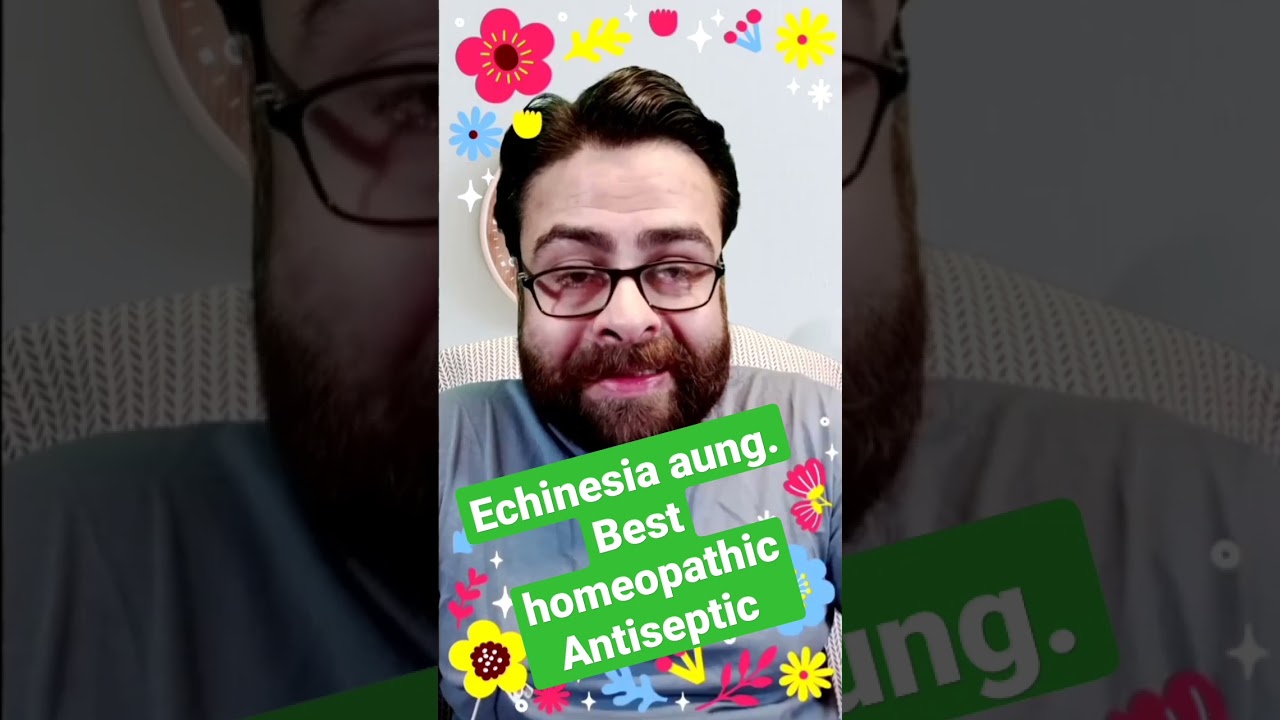 echinacea angustrifolia best antiseptic