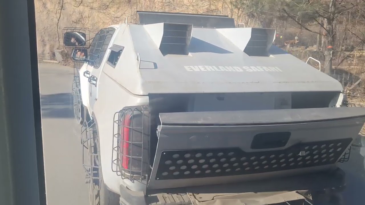 에버랜드 사파리월드 탑승영상