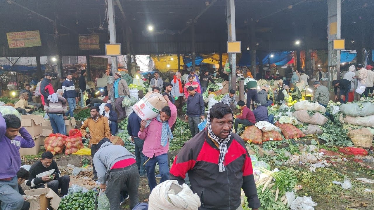 ब्रोकली मशरूम #लाल पीली #मिर्च बेबी कॉर्न और भी हरी सब्जियों का रेट जाने हर रोज 15 फरवरी 2026