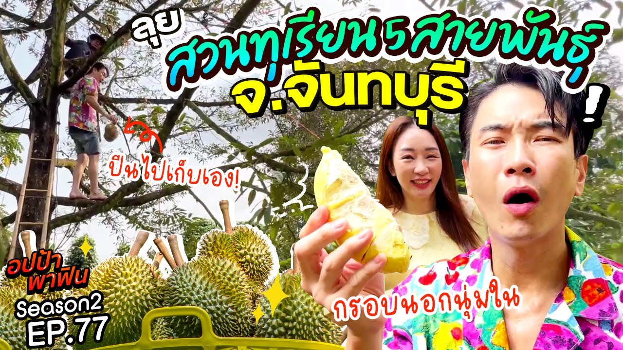 ลุย 'สวนทุเรียน 5 สายพันธุ์ จ.จันทบุรี' กรอบนอกนุ่มใน ฟินทุกพู!!! | อปป้าพาฟิน SS2 EP.77