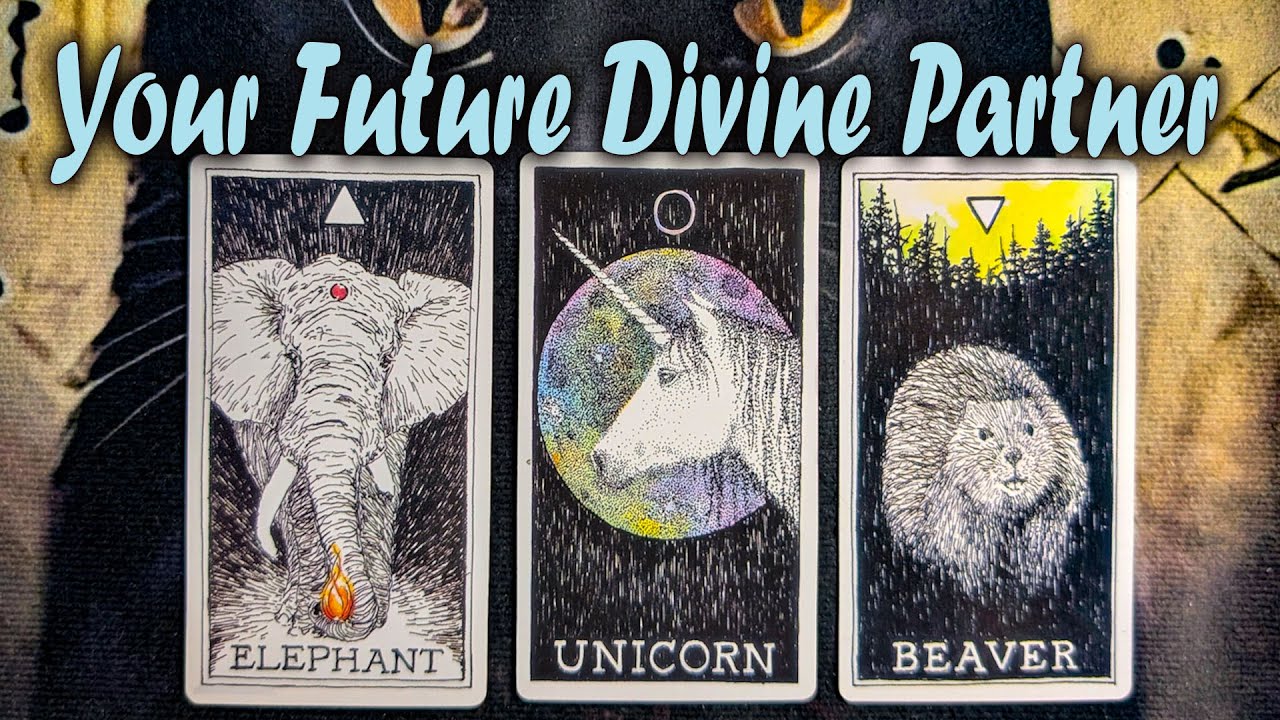 ✨ WHO IS YOUR FUTURE DIVINE PARTNER? 💖 | Pick a Card Tarot Reading 🔮 (Timeless Love Reading)