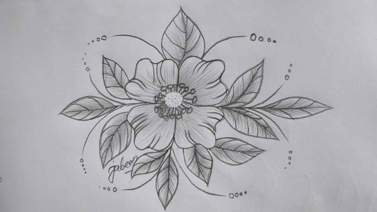 How to draw flowers step by step |beautiful flowers design |  pencil flowers drawing