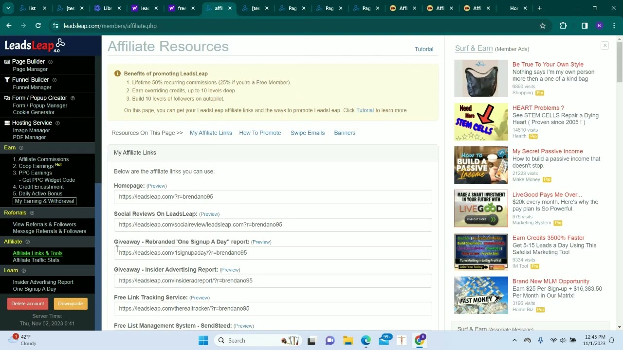 Superb Success Funnel Main Page Setup
