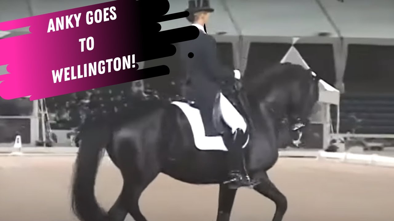 Anky Van Grunsven In Wellington Florida At The Global Dressage Festival