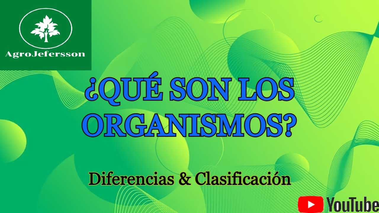 QU&Eacute; SON LOS ORGANISMOS