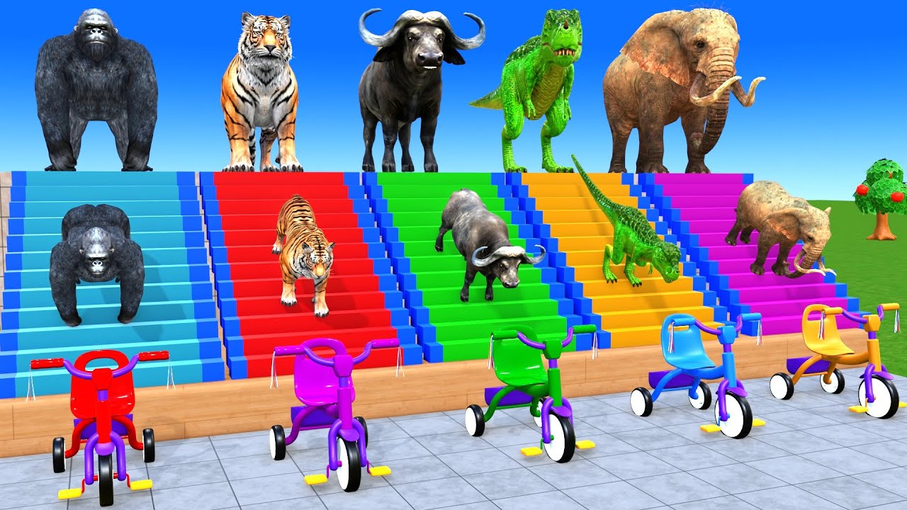 Long Slide Game With Cow Elephant Gorilla Hippopotamus Tiger 3d Animal Game Funny 3d Animals