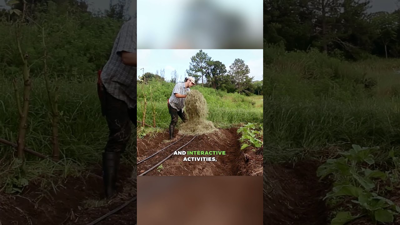 Mastering Permaculture: Enroll in Our Permaculture Design Course Today