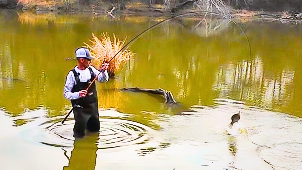 Crappie Fishing Shallow Cover