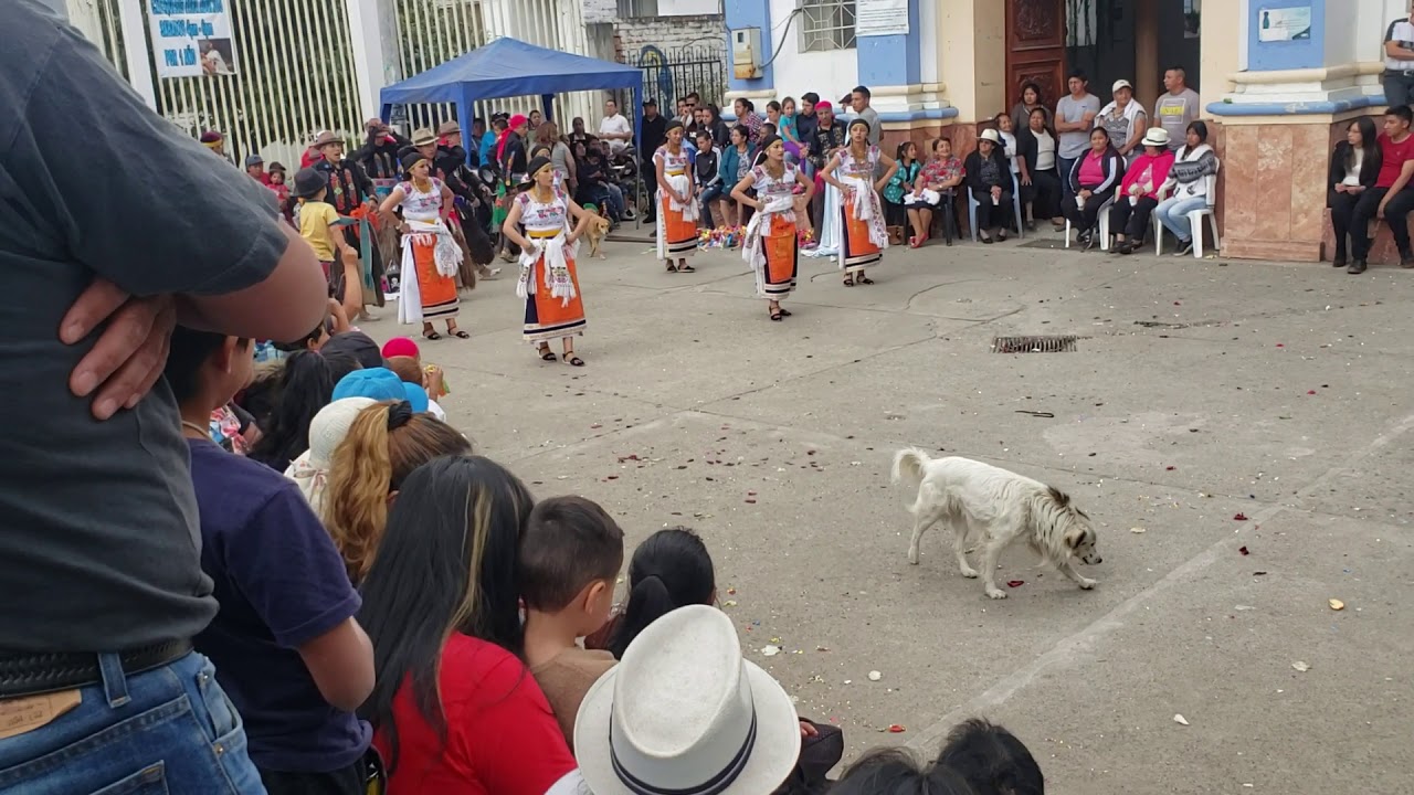 Sentimiento Andino - Inty Raymi Cotacachi