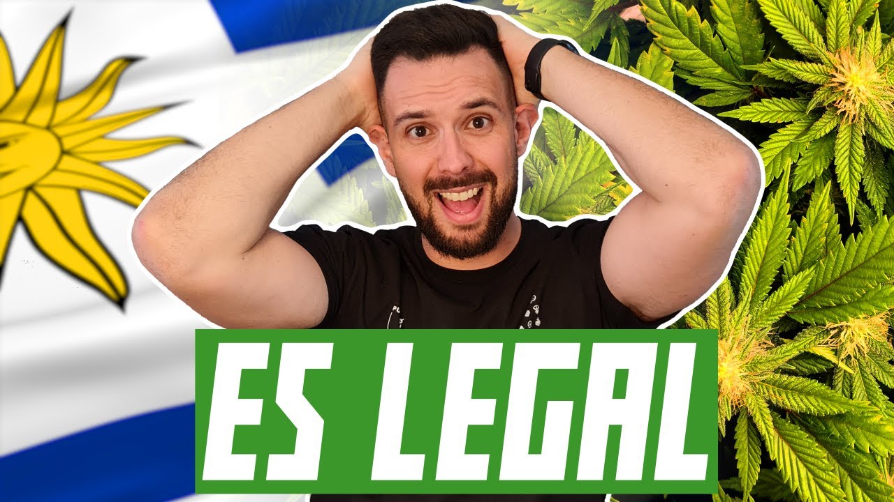 CANNABIS Club TOUR l Expo CANNABIS  2021 Uruguay