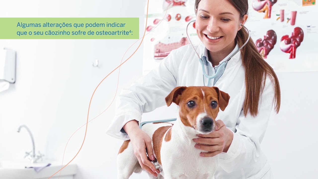 Previcox