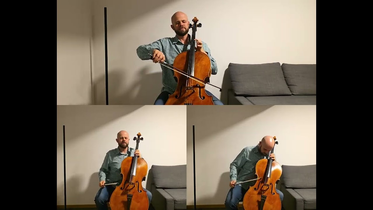 The Warning, Carín Léon - Love To Be Loved cello cover
