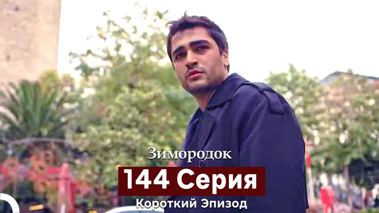 Зимородок 144 Cерия (Короткий Эпизод) (Русский дубляж)
