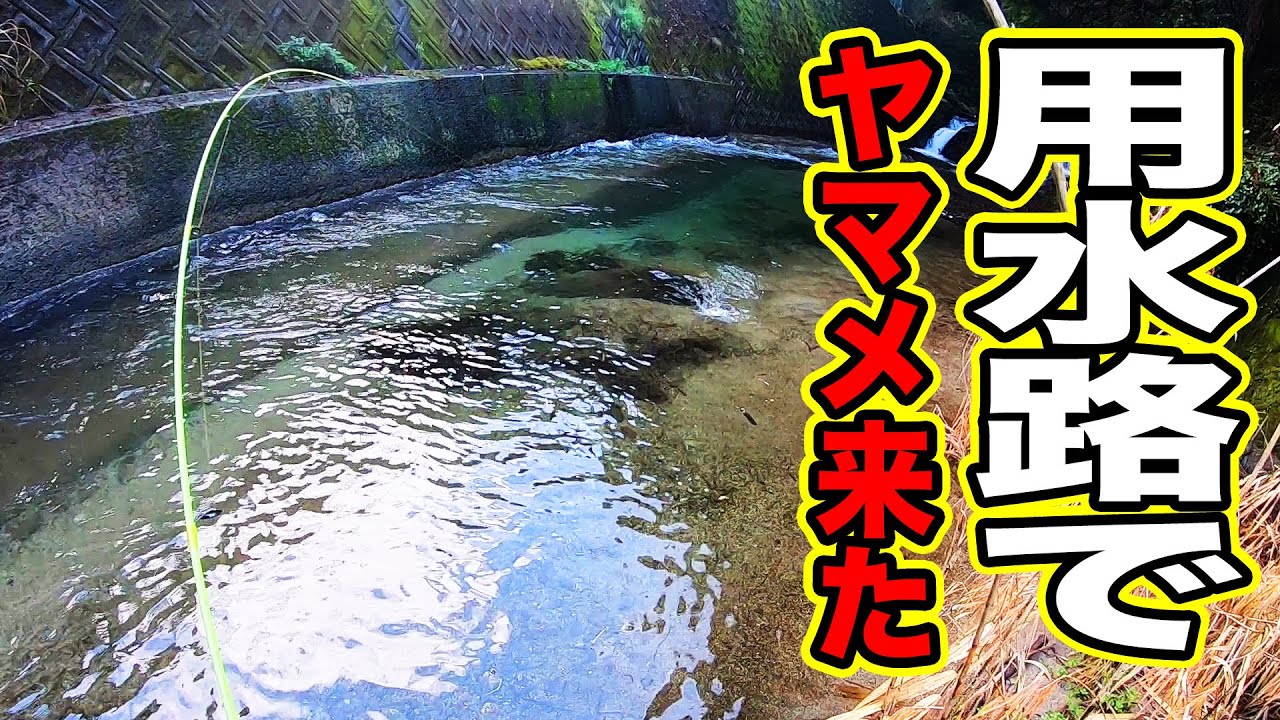 ヤマメ釣り解禁したので鱒レンジャーを使って渓流と用水路を攻めてみたよ！