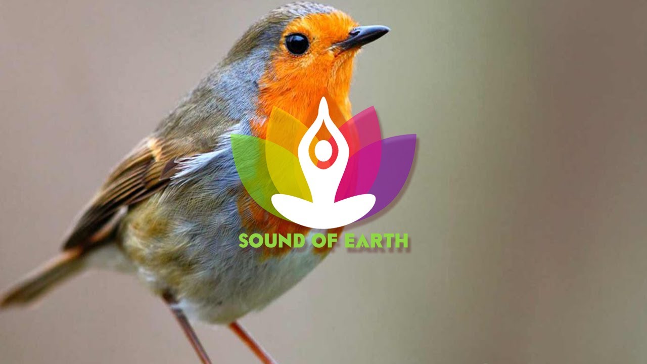 RELAXING MUSIC FOR MASSAGE, INSTRUMENT MUSIC FOR SPA | Sound of Earth