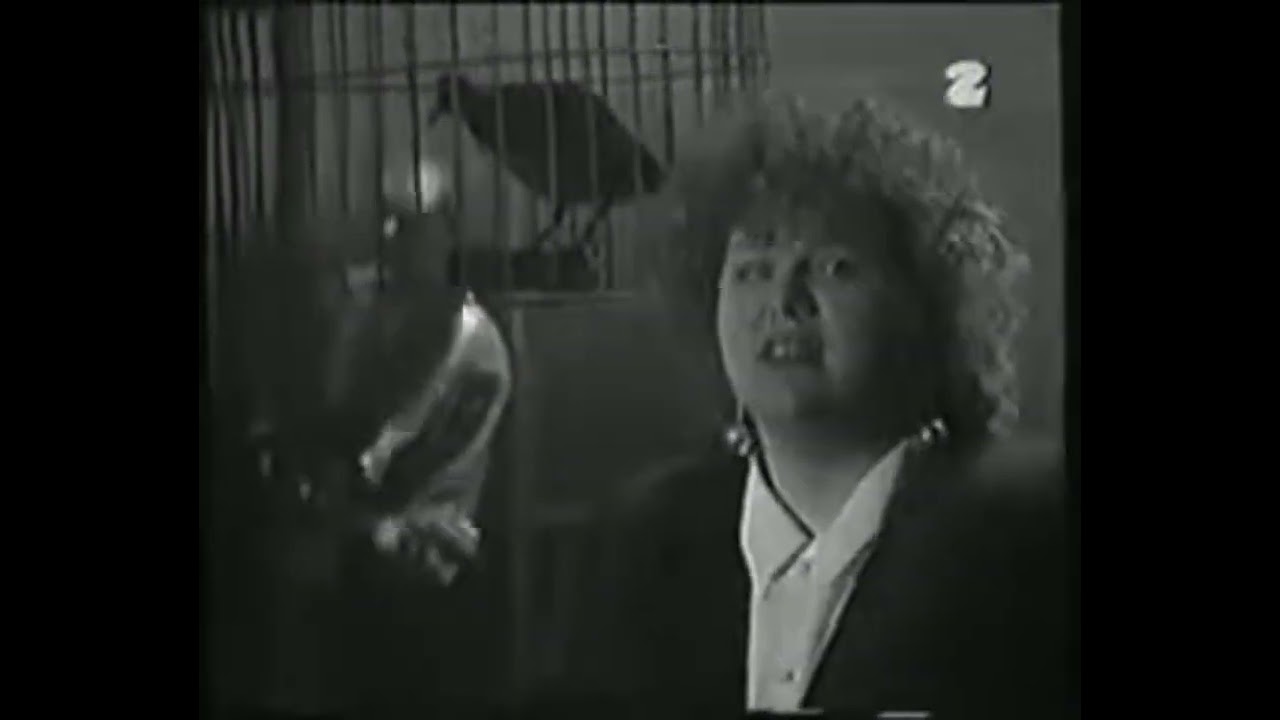 Heavy Blues - Szukam Przyjaźni (Feat. Beata Bednarz) (Other Songs) 1991