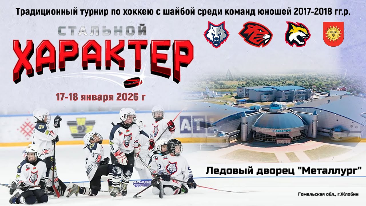 17.01.2026. СХ. 2017. Ц. Бобруйск-1 - Гомель-1